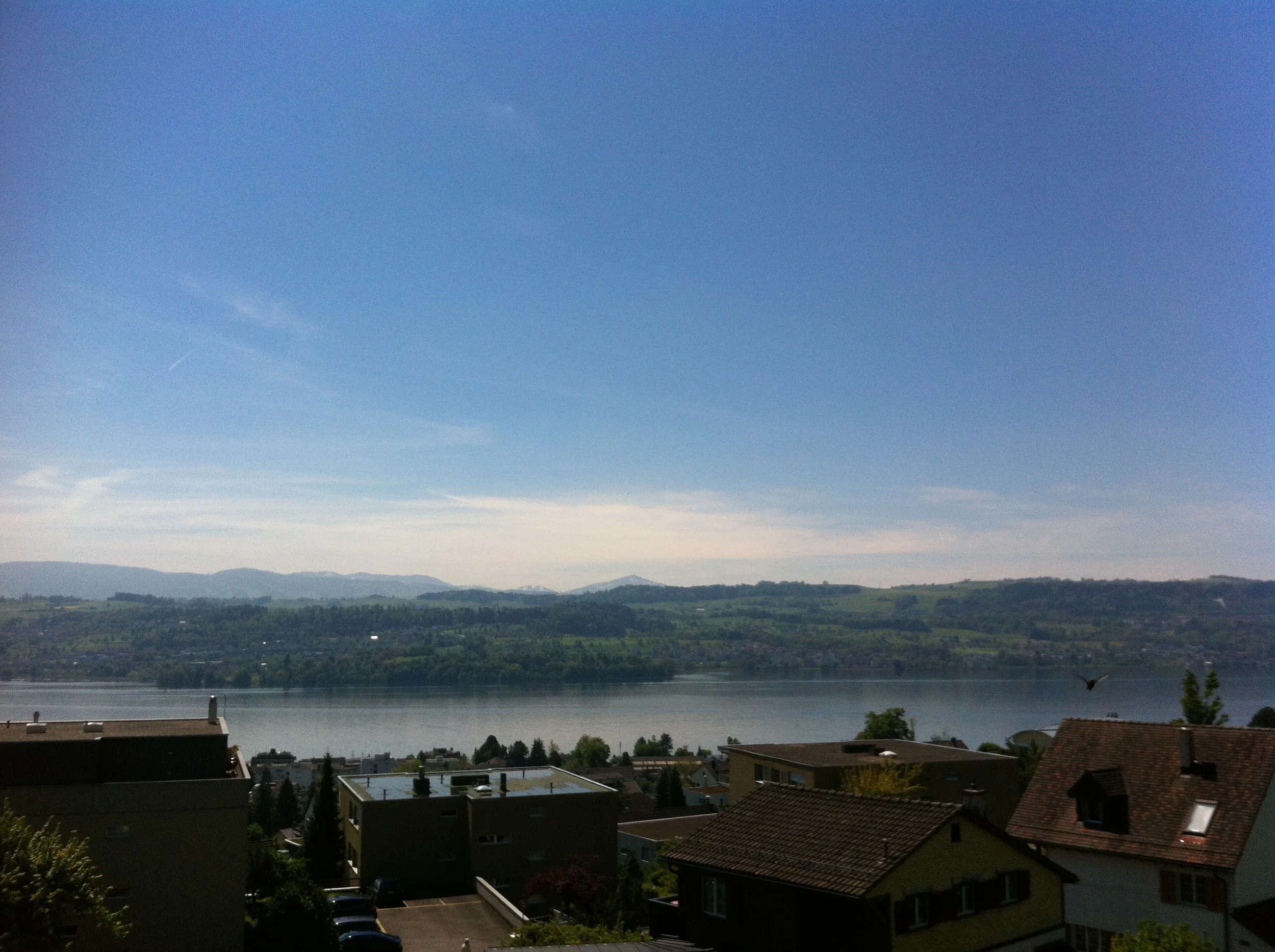 2014-05-05 13.12.35.jpg