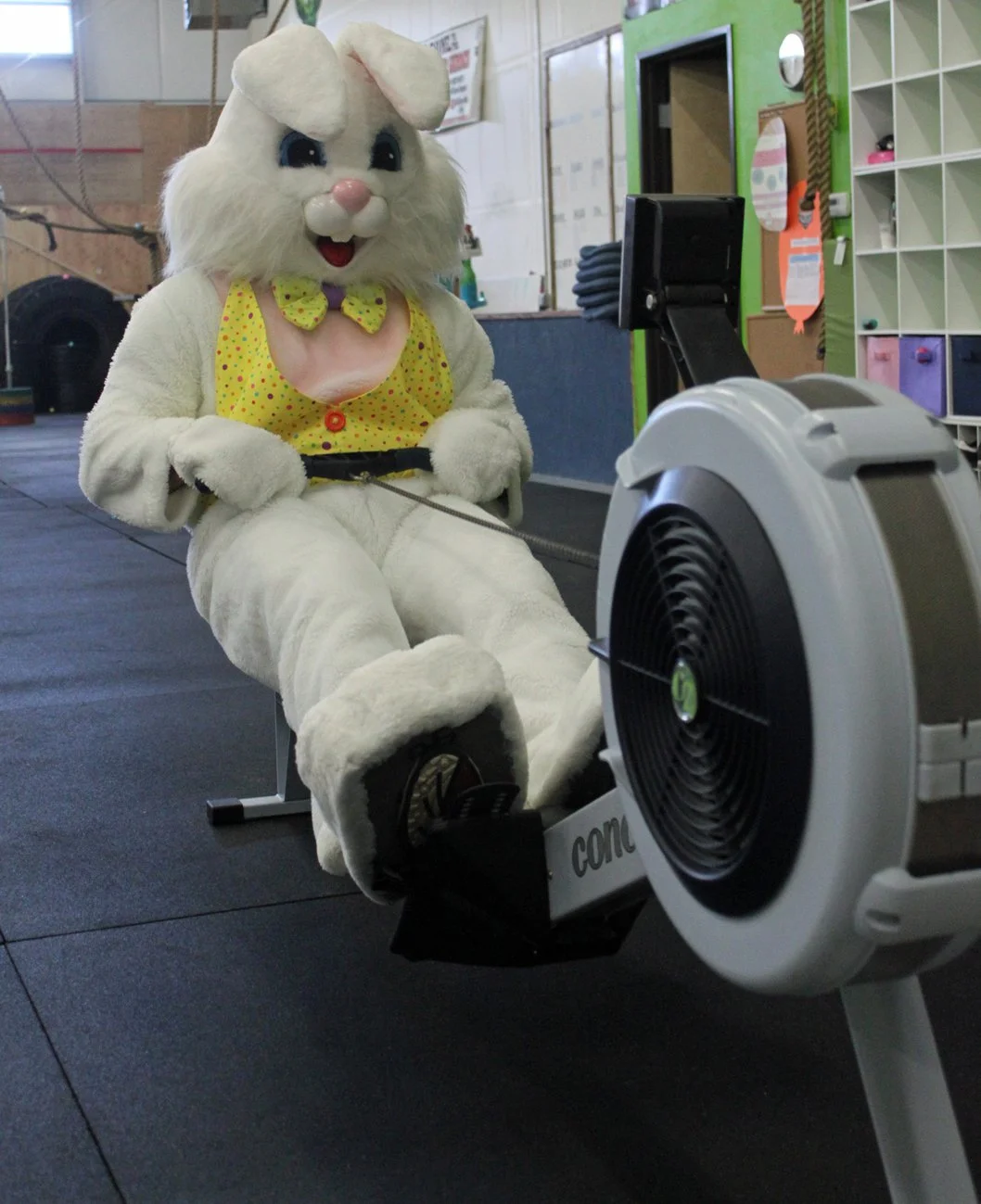 Easter-Bunny-Row.jpg