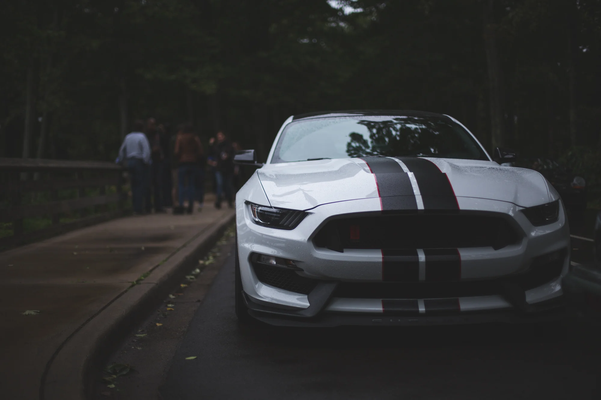 Ford Fall Rally-8.jpg