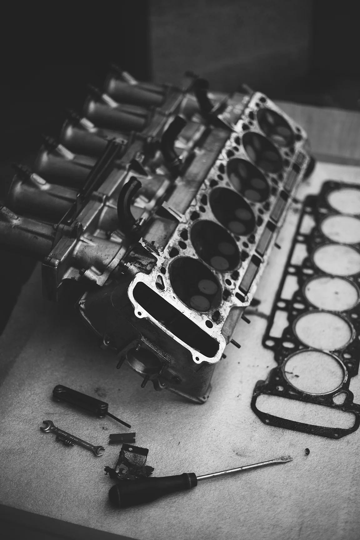 BAVARIAN HEART TRANSPLANT