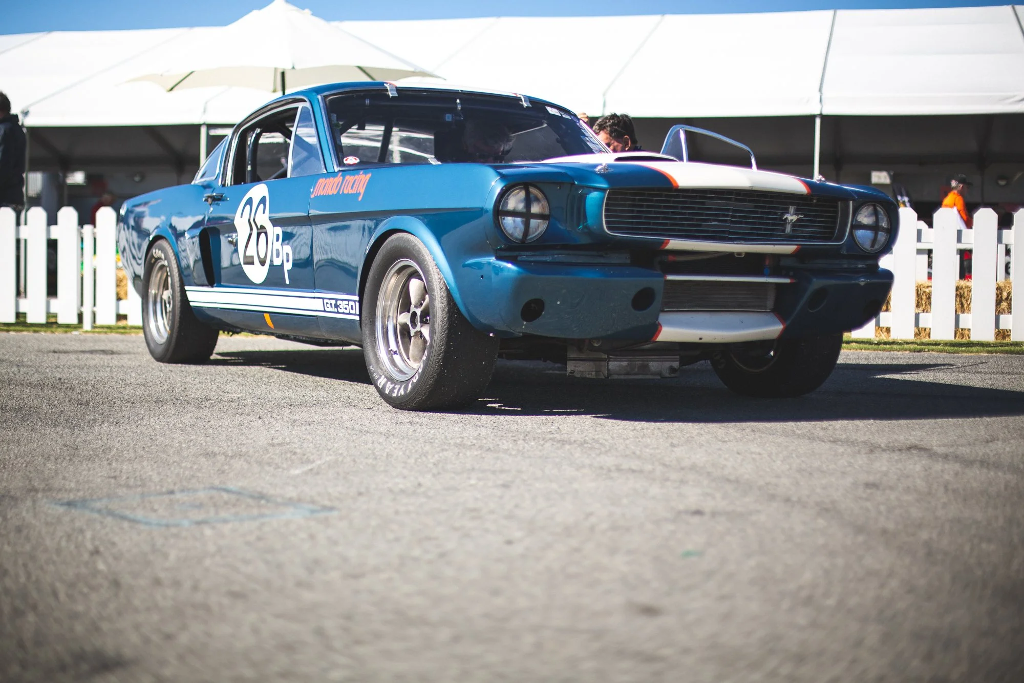 John Mustang-2.jpg