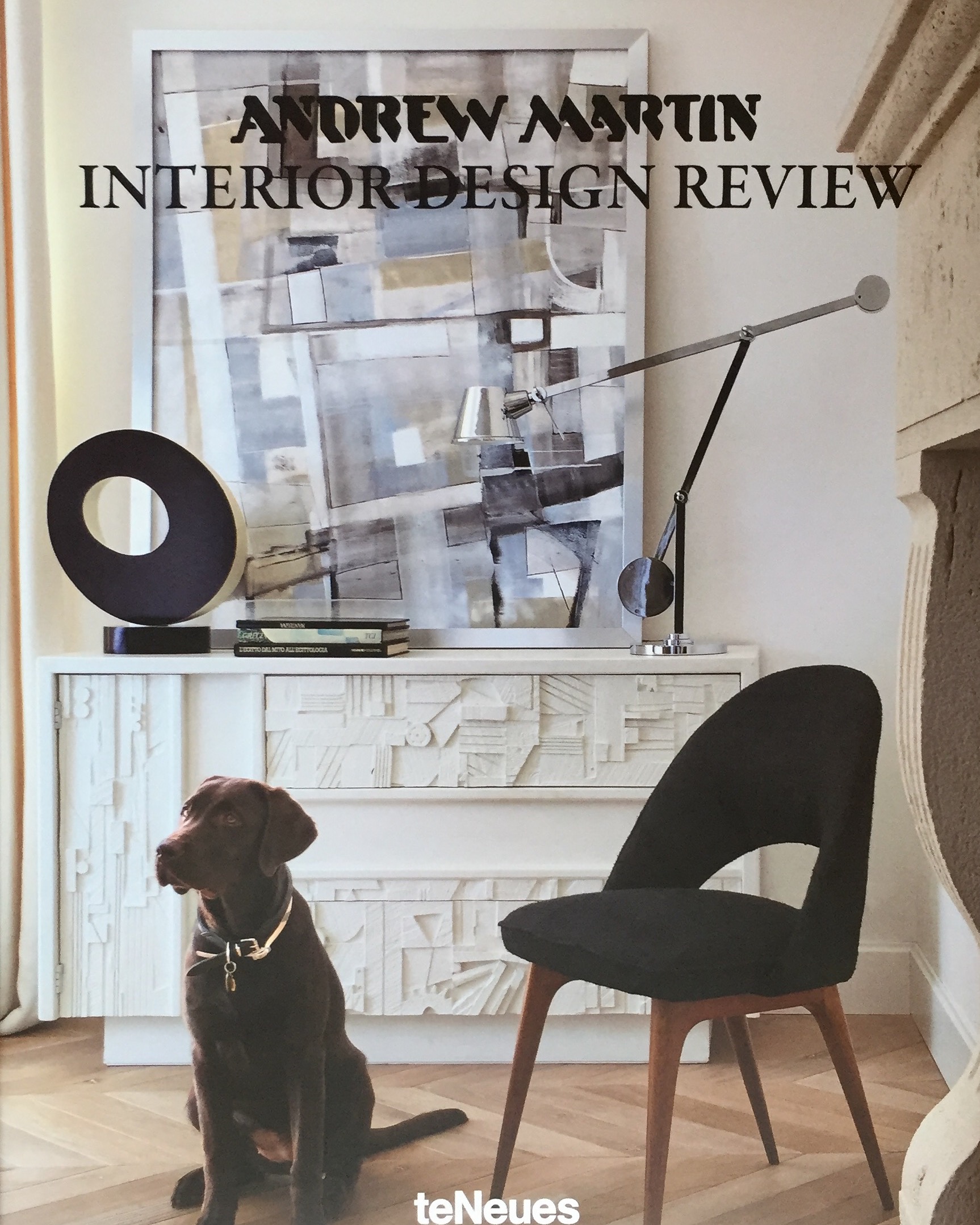 The cover of the 2016 Andrew Martin Interior Design Review, Volume 20 .