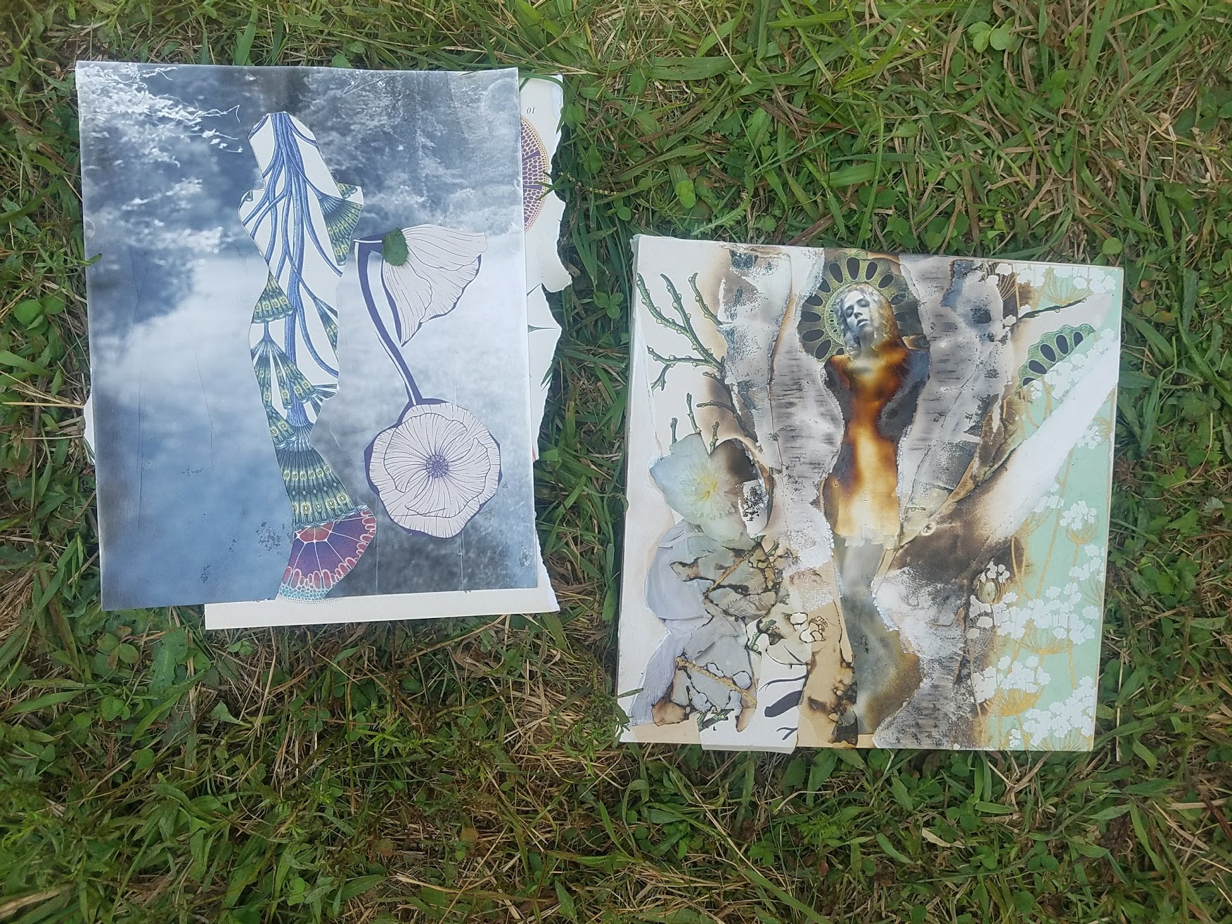 20180807_121914.jpg