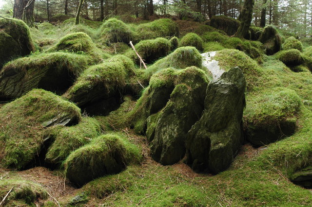 Moss covered rocks