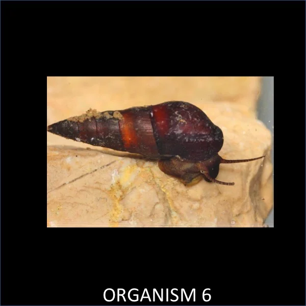Slide06.jpg