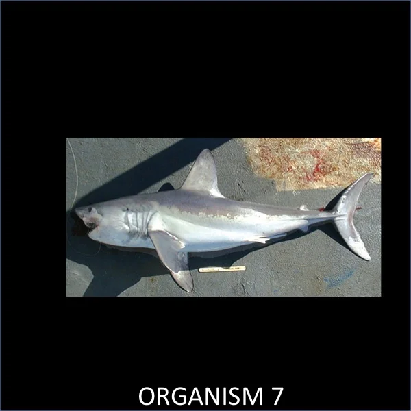 Slide07.jpg