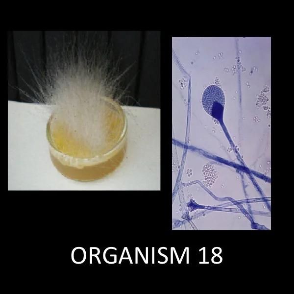 Slide3.jpg