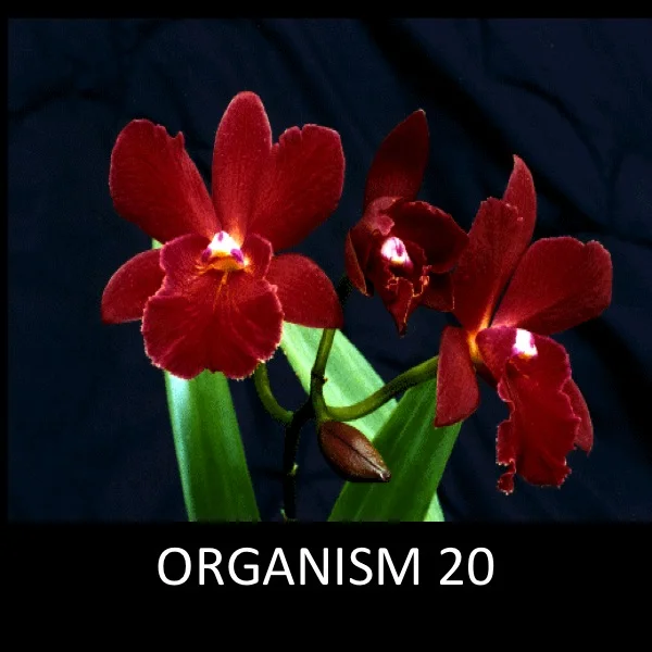 Slide5.jpg