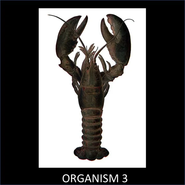 Slide03.jpg
