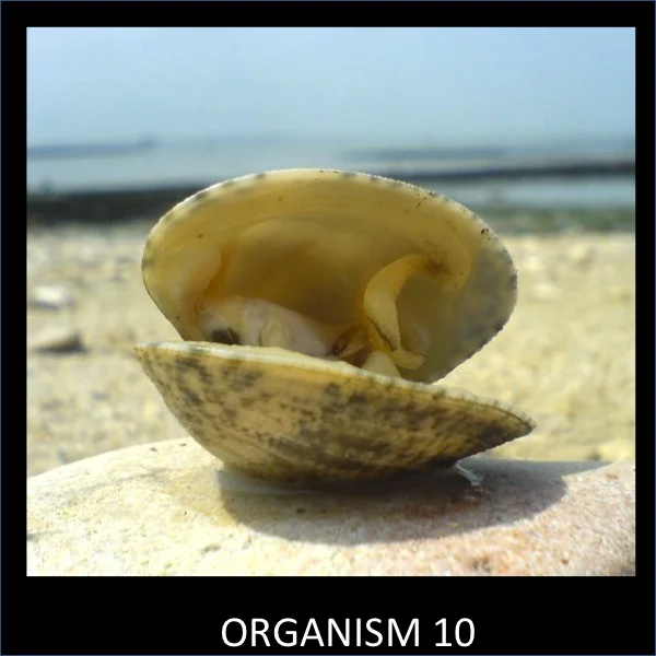 Slide10.jpg