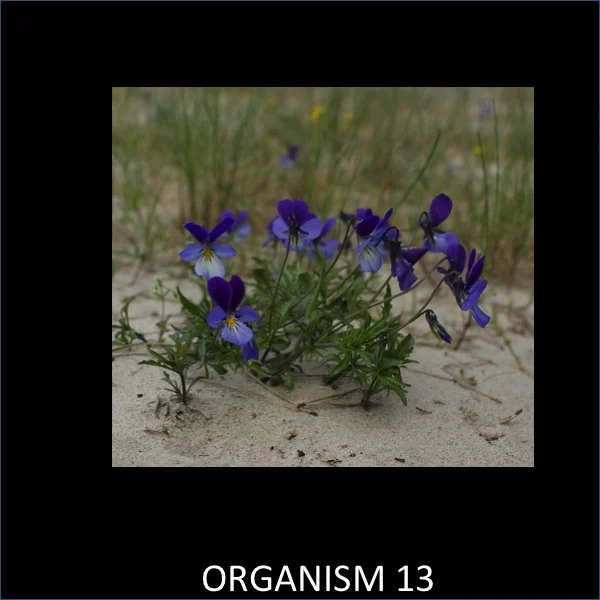 Slide13.jpg