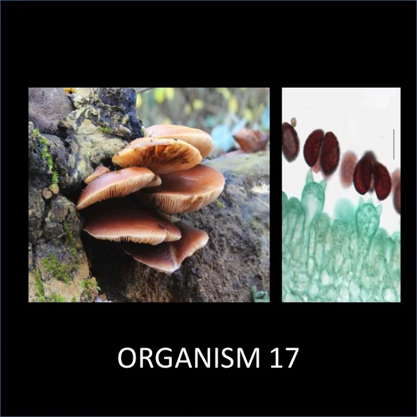 Slide17.jpg