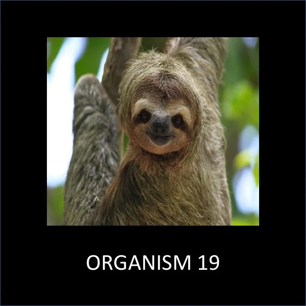 Slide19.jpg