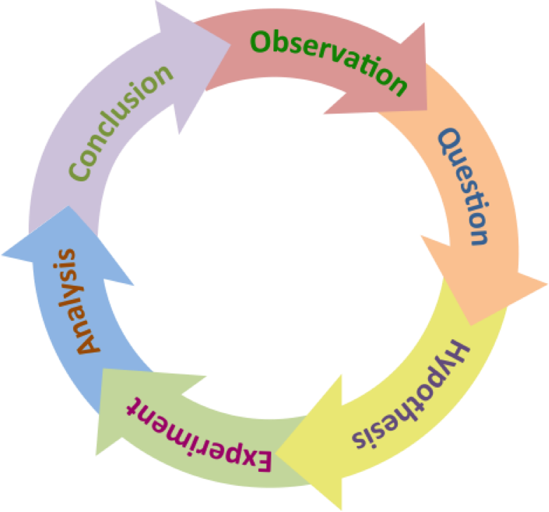 how does hypothesis help scientists understand the natural world