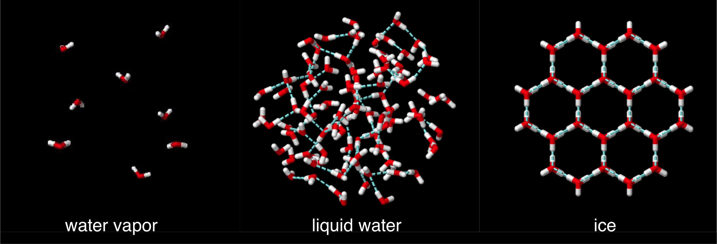Figure 15 . States of water. Water vapor is gaseous water molecules nearly devoid of hydrogen bonding. Water is liquid due to the constant formaing and breaking of hydrogen bonding (blue dashed lines) among neighboring molecules. Ice forms when all potential hydrogen bonds are formed among neighboring molecules. Due to the water bent structure, ice molecules are more spread out relative to liquid water, causing it to be less dense. Media source .