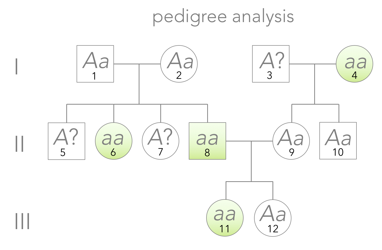 Figure 10. Pedigree analysis. Understanding Mendelians genetics is a useful tool for deconstructing genotypes and phenotypes in a family history.