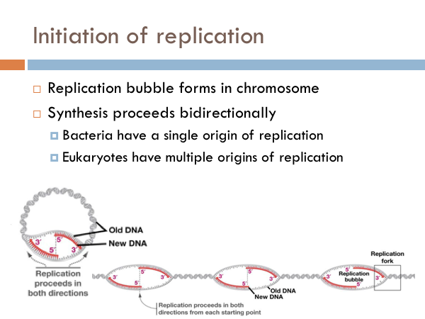 the biology primer