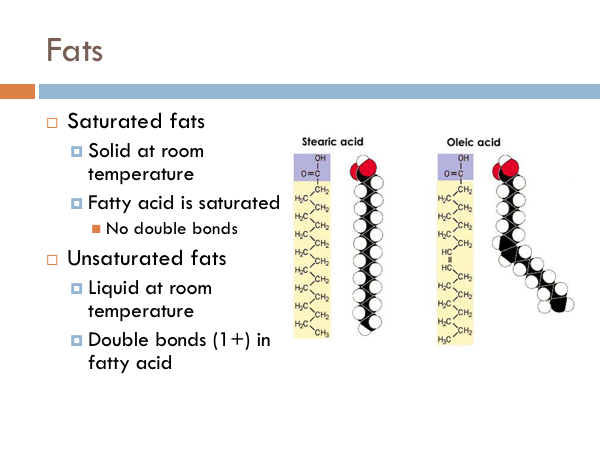 Chapter The Cell Membrane The Biology Primer