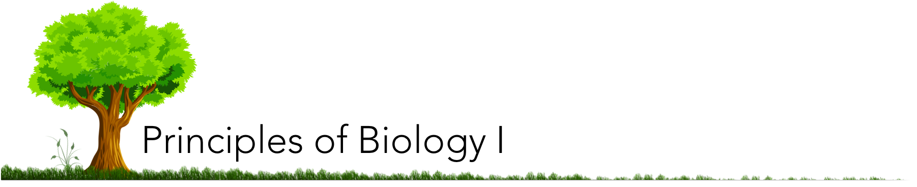 Picture1.png