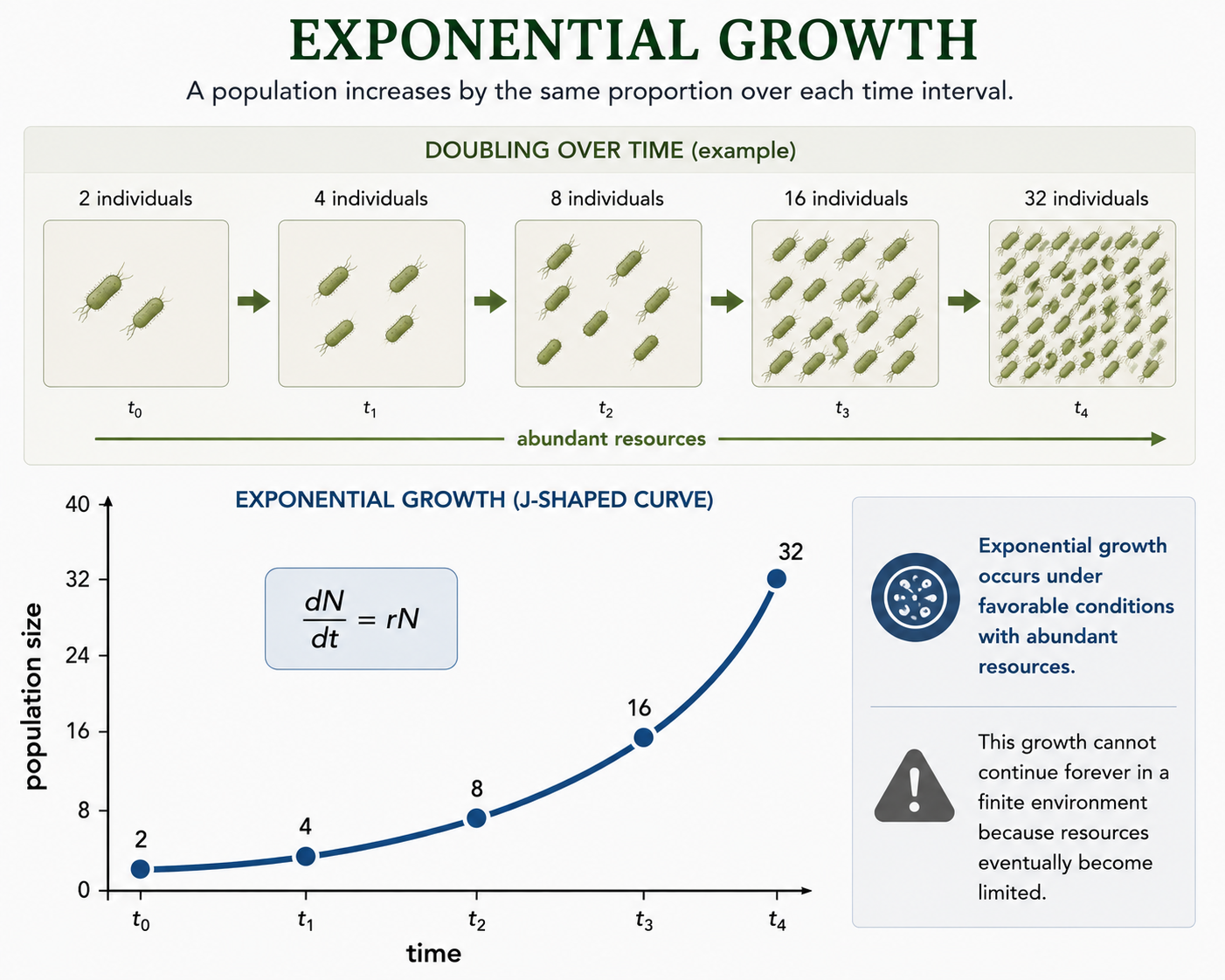 A population doubles from 2 to 4 to 8 to 16 to 32 individuals beside a J-shaped growth curve labeled dN/dt = rN. The image shows rapid increase under favorable conditions.