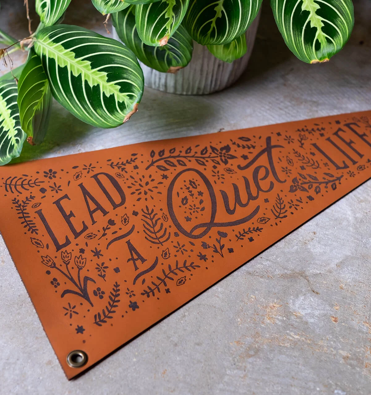 LeadAQuietLife2.jpg