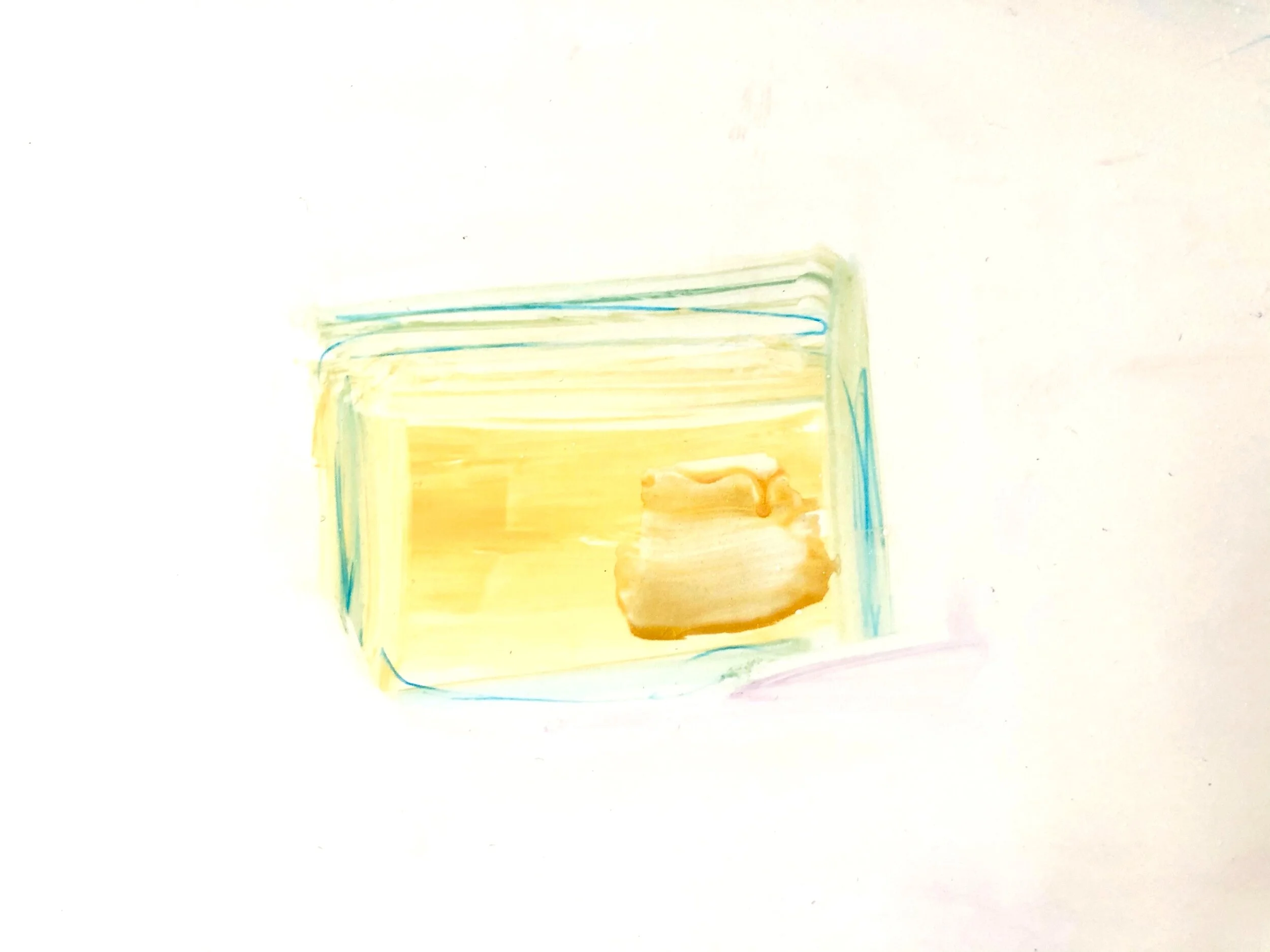 Spectacles In Springtime .JPG