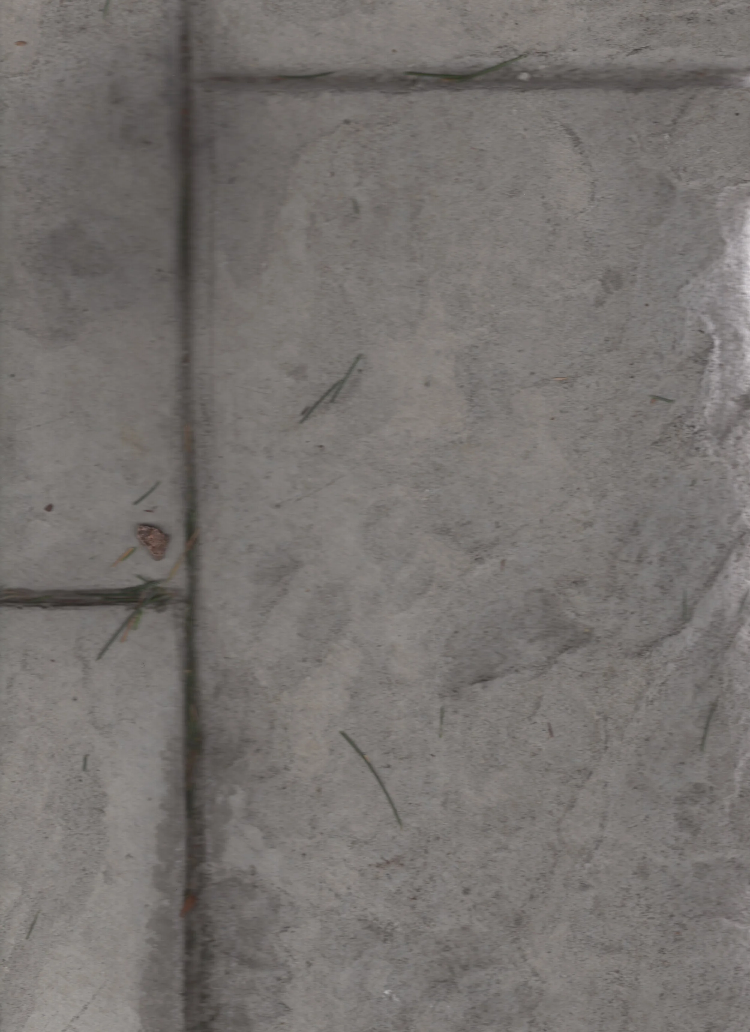  scanner project  using a cheap flatbed scanner, this project seeks to explore the relationship we have with our own image, bodies, and the world around us in an age of digitalization. with smart devices all around us and ever present social media we