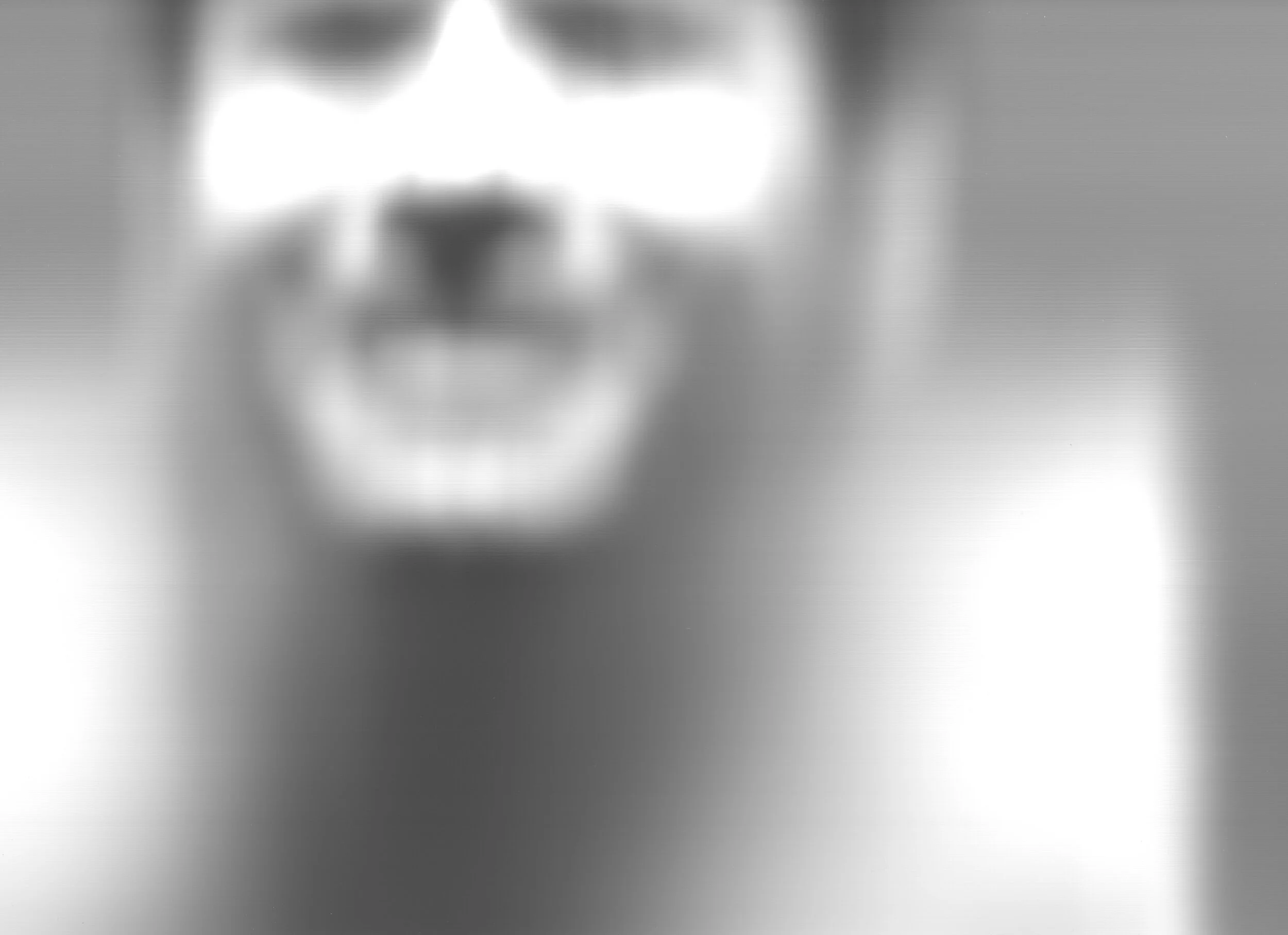  scanner project  using a cheap flatbed scanner, this project seeks to explore the relationship we have with our own image, bodies, and the world around us in an age of digitalization. with smart devices all around us and ever present social media we