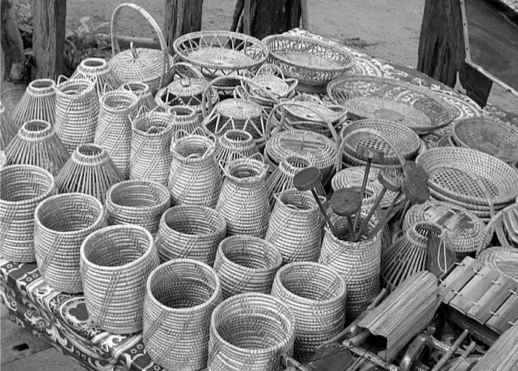 Handicrafts and Employment Generation for the Poorest Youth and Women
