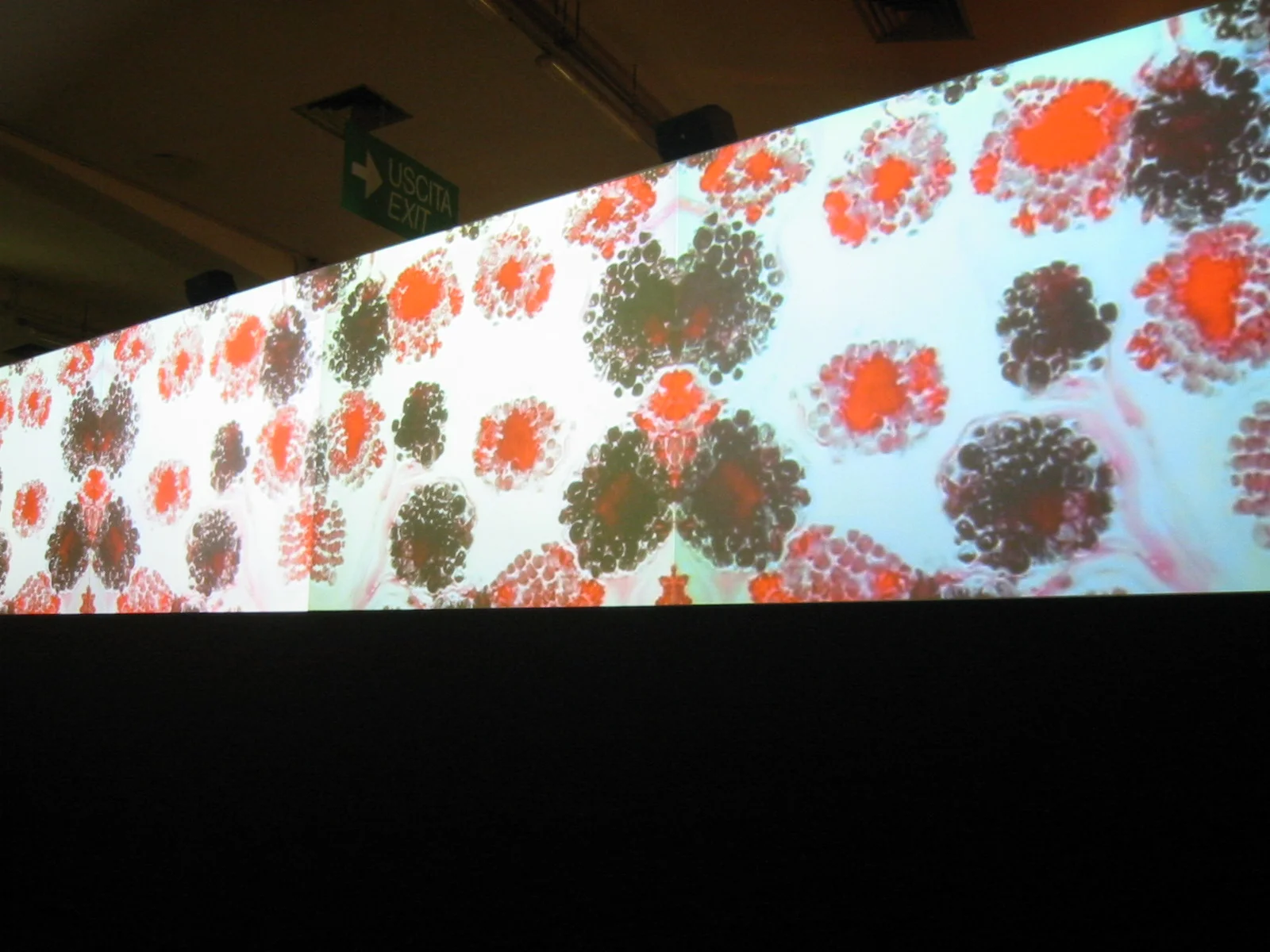  This piece of mix media (video, print and sound) was created for the
Salon di Mobili, the largest exhibition of industrial design, architecture and
furniture design in the world. &nbsp;Interior designer Adam Tihany was
commissioned to create an entr