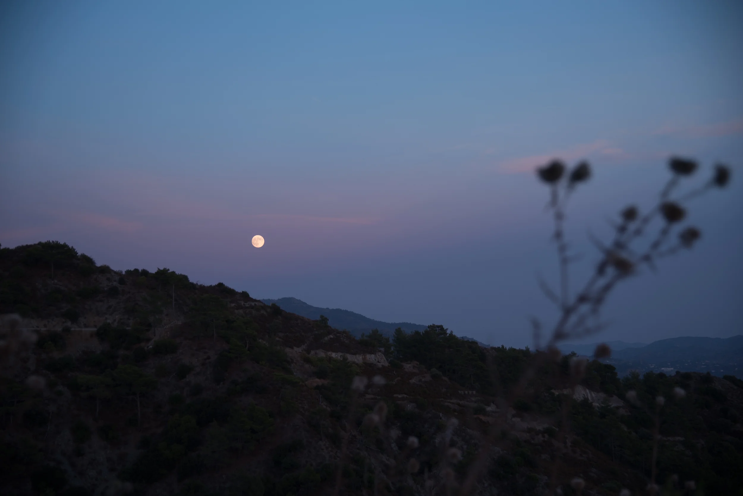 20150927-DSC_7427.jpg