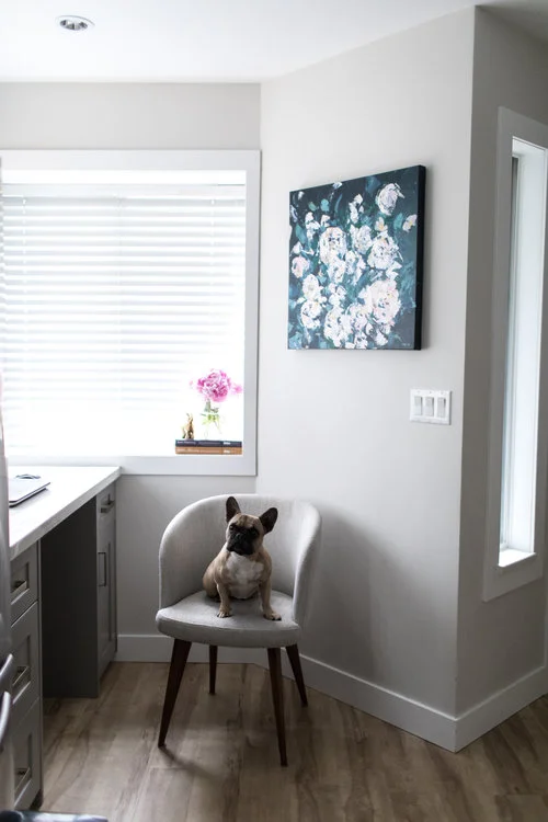 Dana-Mooney-Vancouver-Artist-Pop-of-Peonies-Styled-French-Bulldog-Office