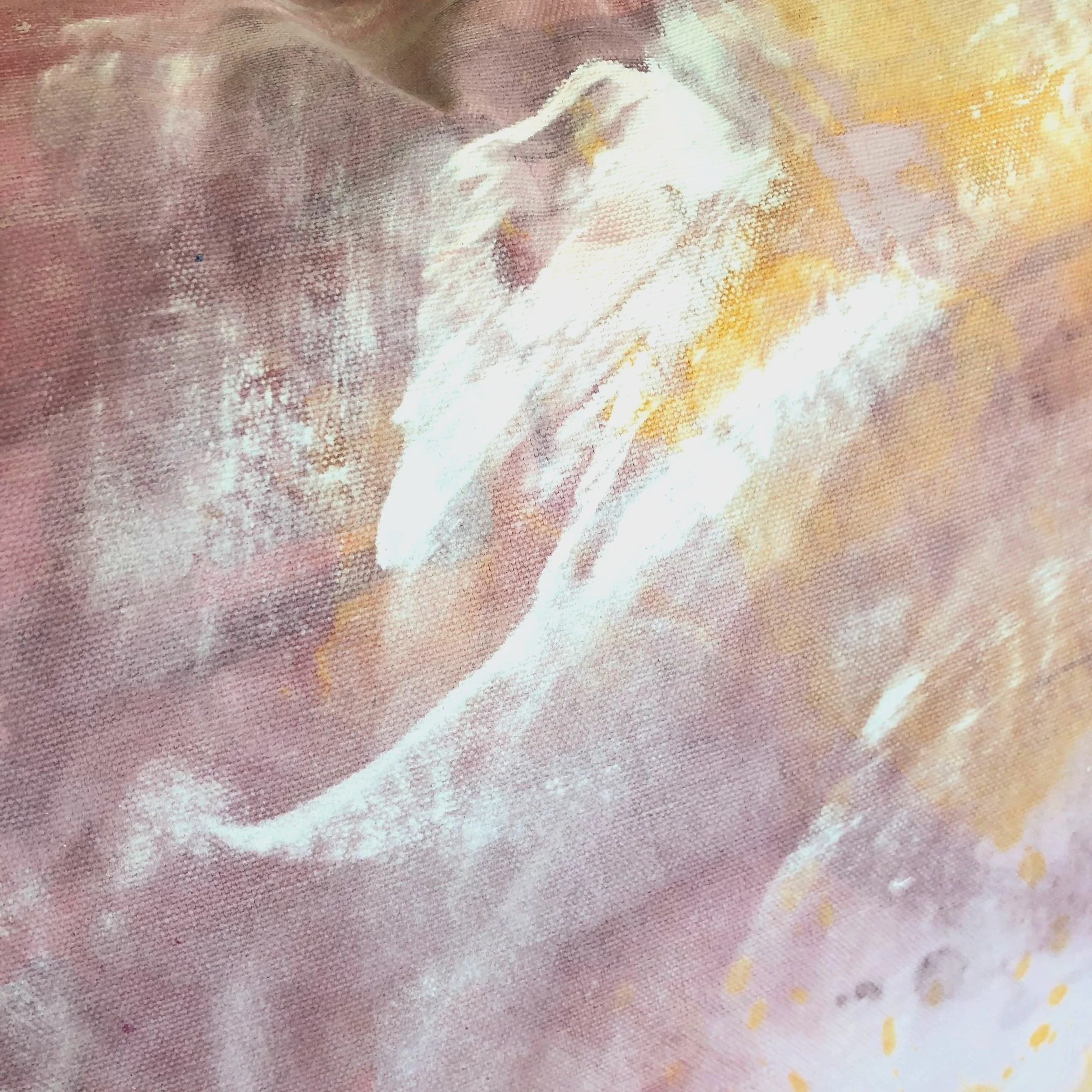 Dana-Mooney-Vancouver-Artist-Desert-Sunset-Throw-Pillow-Detail