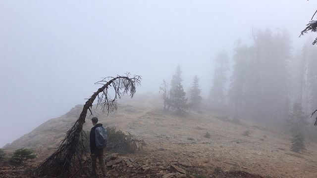 Misty morning hike
