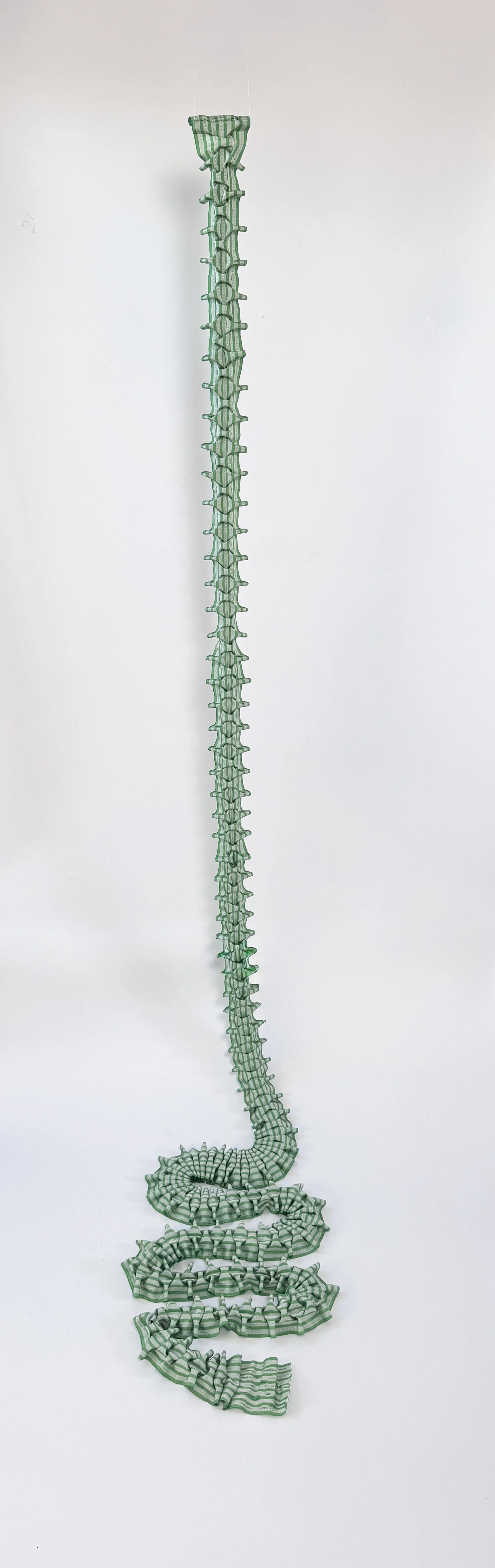 Vertebrae
Vintage swiss ribbon, hand smocked 20cm X 700cm Joy in the Detail, Small Works by the 62 Group of Textile Artists, Crafts Study Centre, UCA, Farnham Surrey.