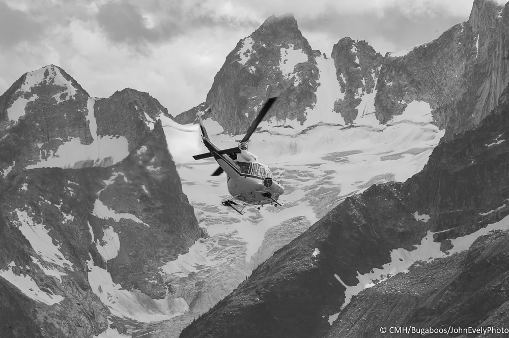 CMH Bugs-1.jpg