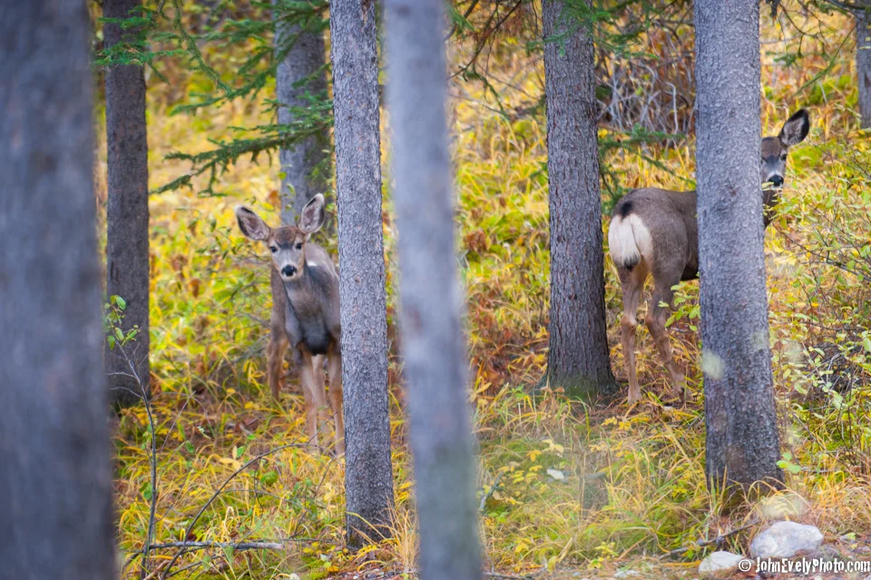 The Neighbours-0253.jpg