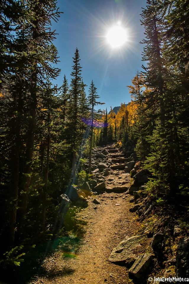 JE The Path -5679.jpg