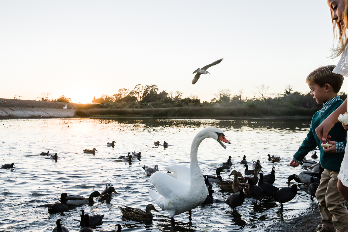 KellySwedaPhotography.Knothe_web-9062.jpg