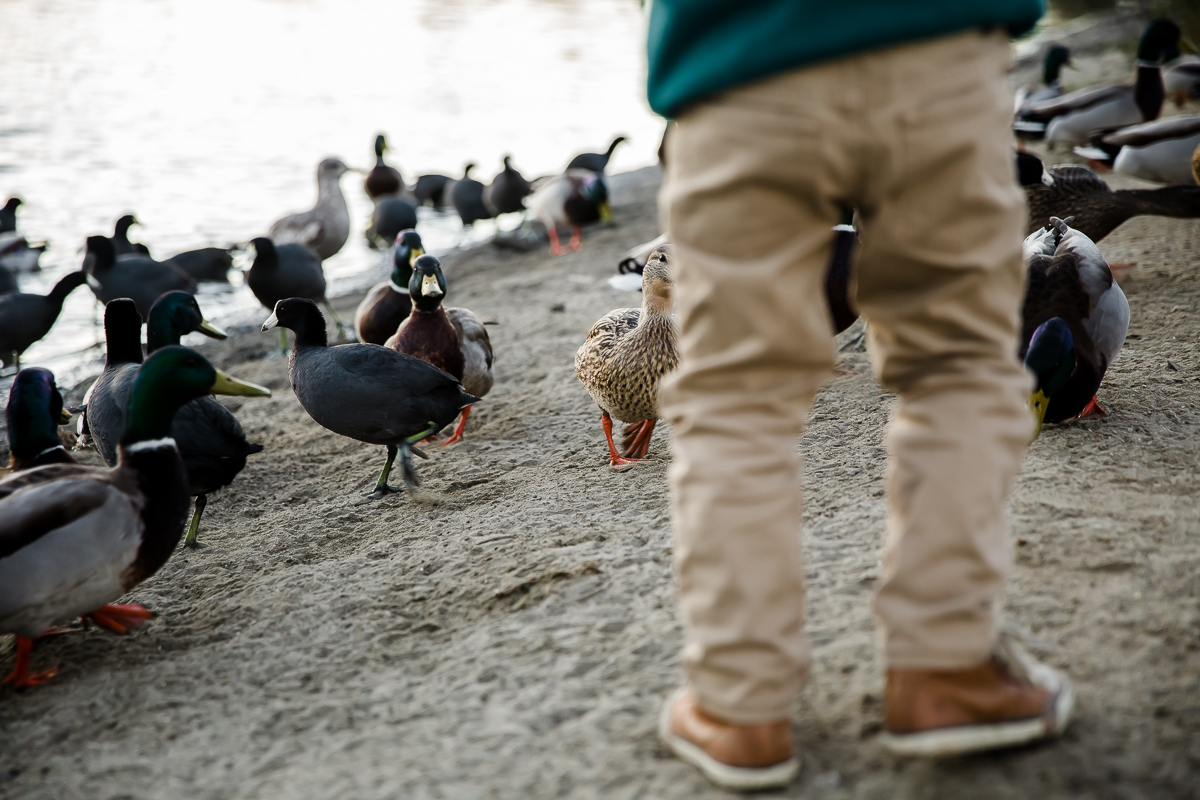 KellySwedaPhotography.Knothe_web-9100.jpg