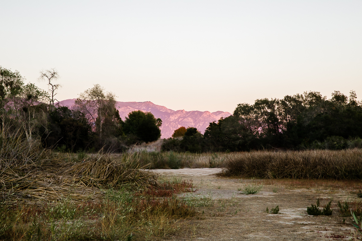 KellySwedaPhotography.Knothe_web-9105.jpg