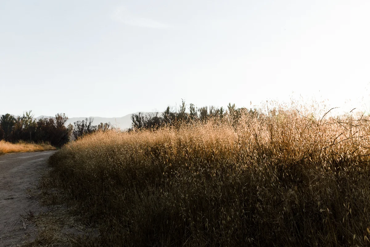 KellySwedaPhotography.Schmoe_web-0351.jpg