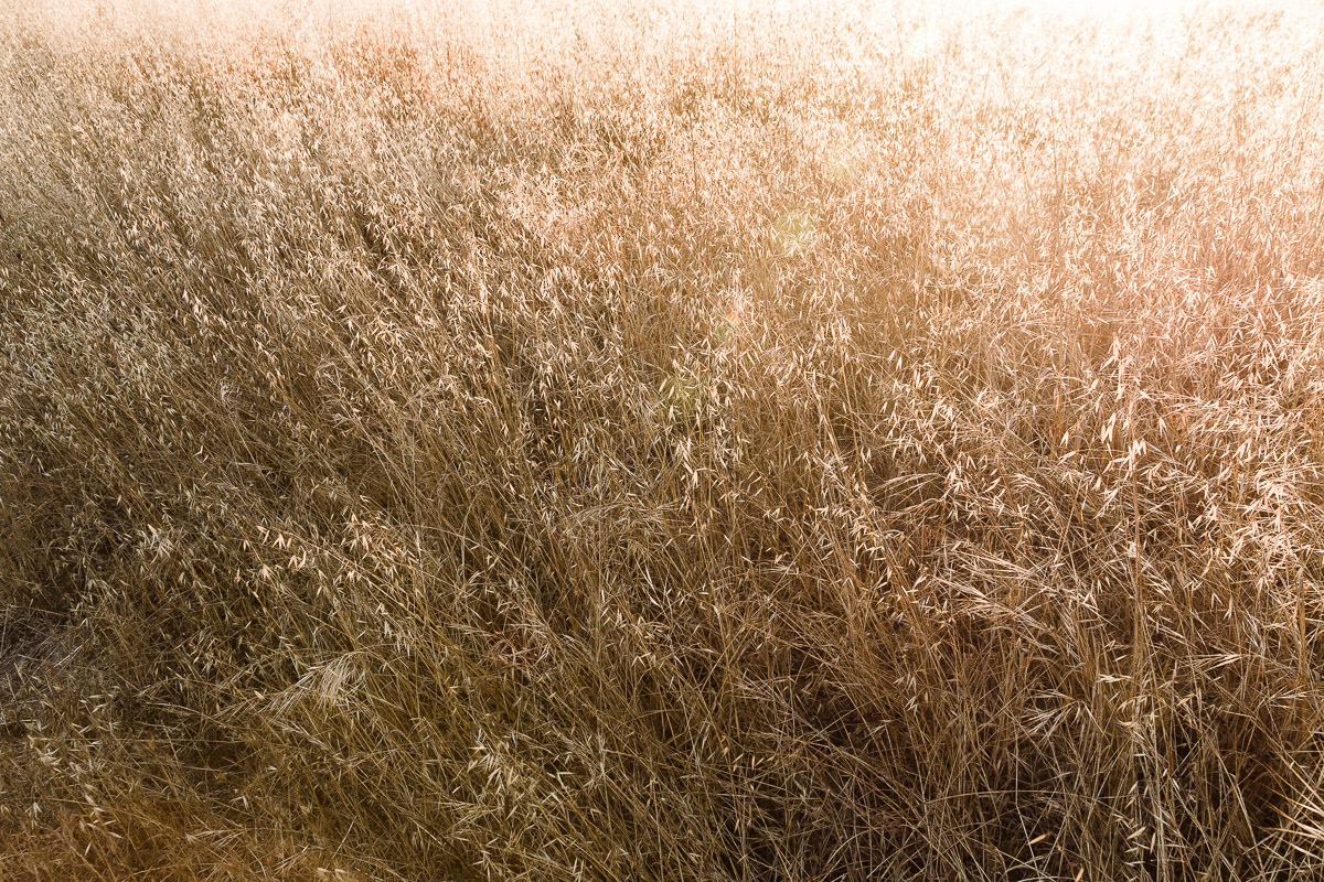 KellySwedaPhotography.Schmoe_web-0358.jpg