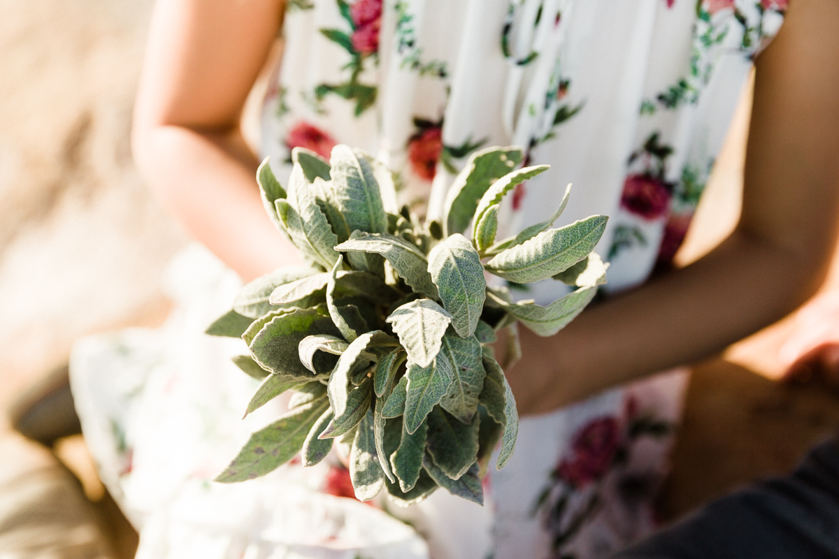 KellySwedaPhotogarphy.Knothe_2016_web-5979.jpg