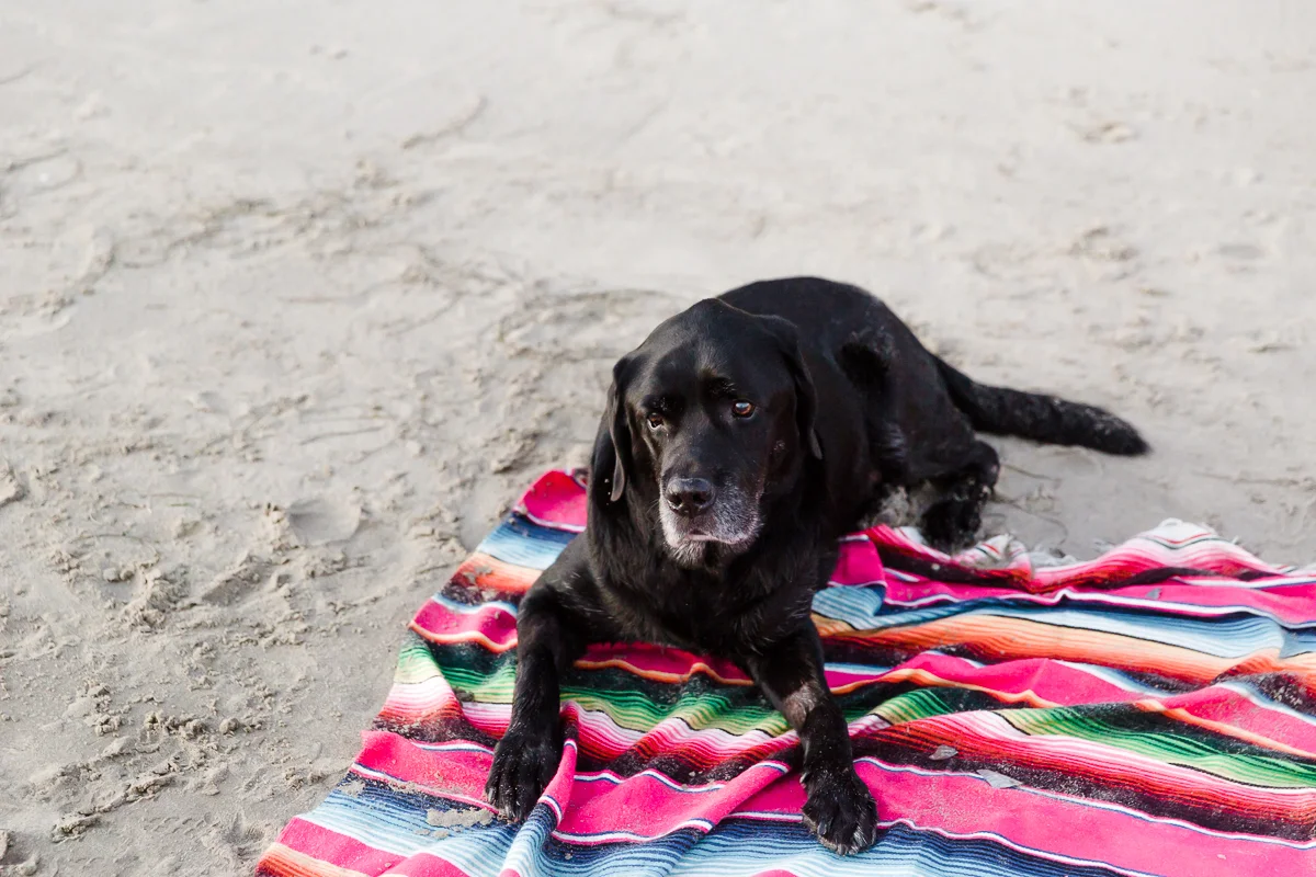 KellySwedaPhotography.McGinness_web-1064.jpg