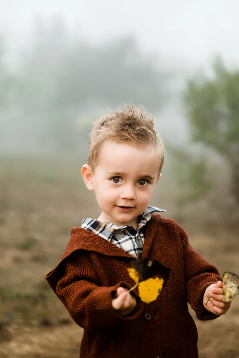 KellySwedaPhotography.Gray_family_2018_web-10.jpg