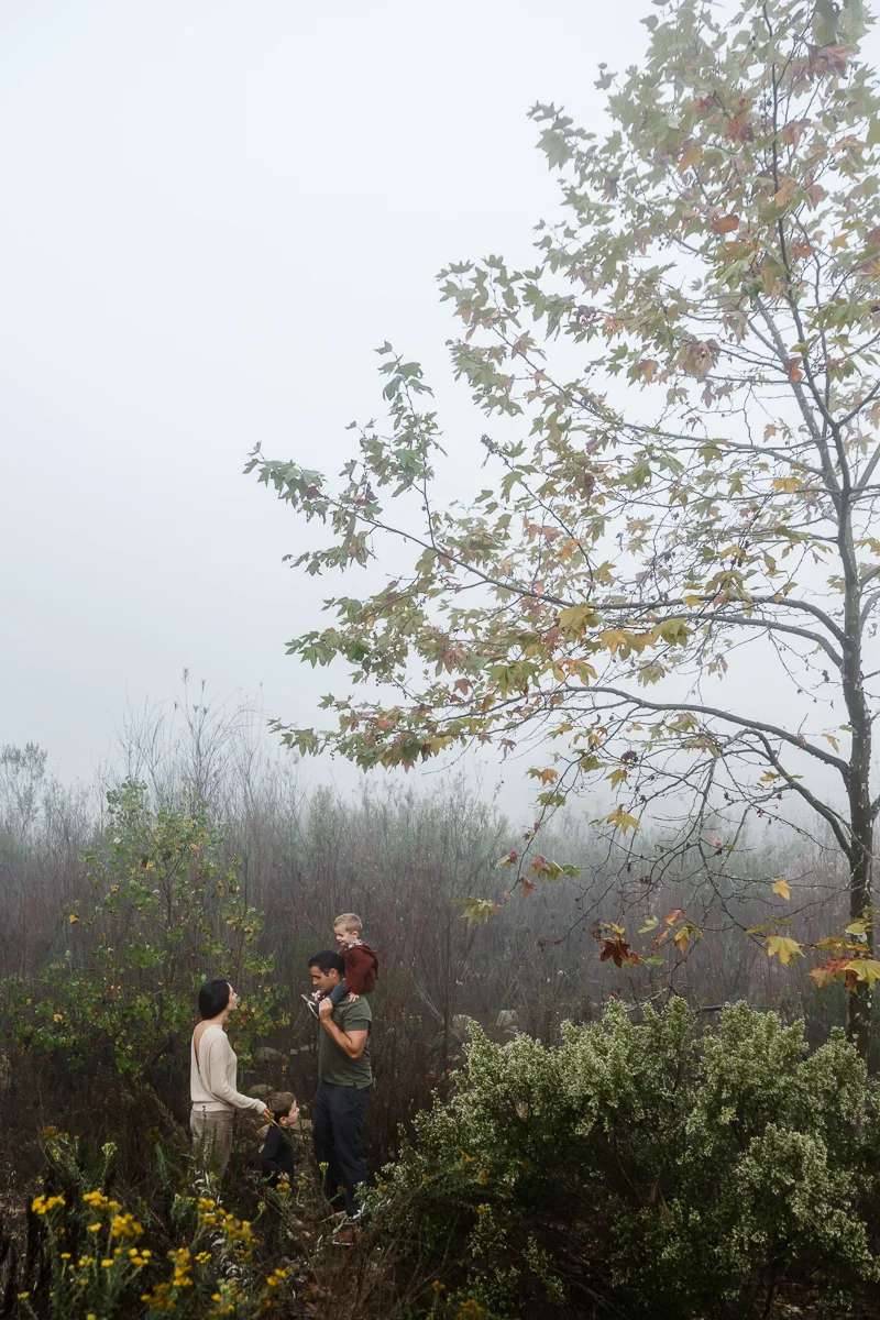 KellySwedaPhotography.Gray_family_2018_web-21.jpg