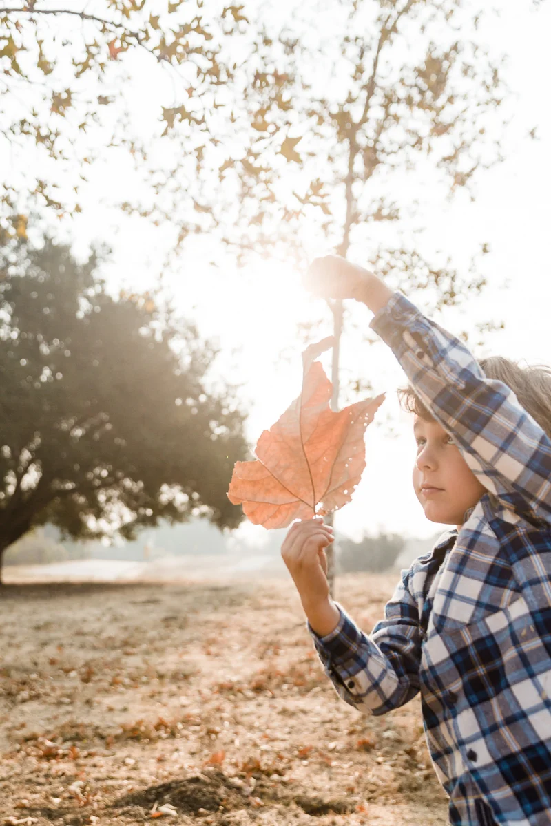 KellySwedaPhotography.Young_web-8108.jpg