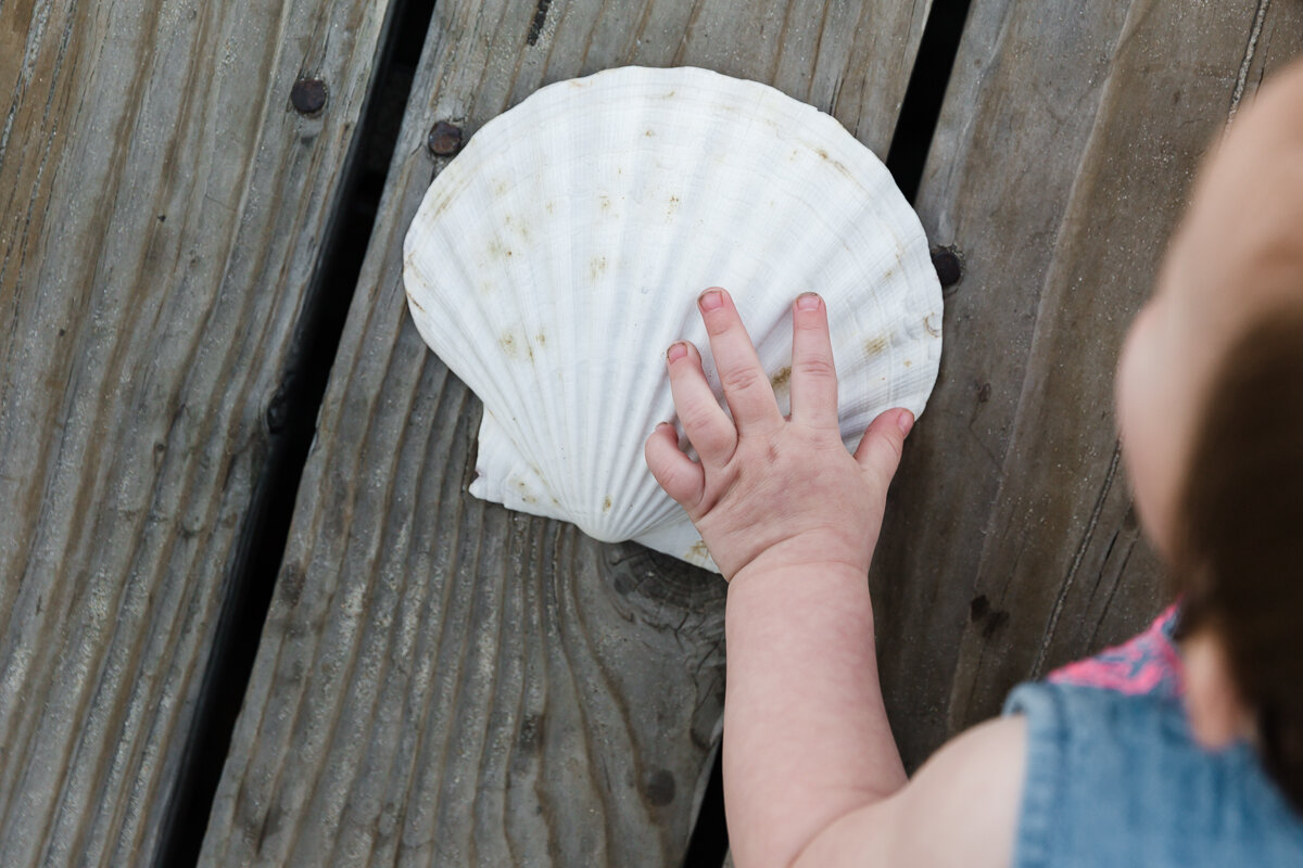 KellySwedaPhotography.Thomson_extended_family_web-7986.jpg