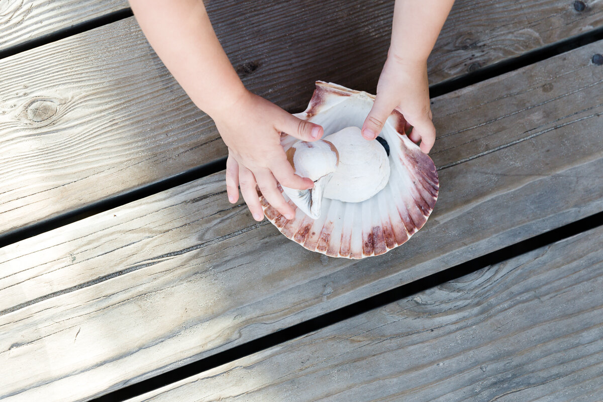 KellySwedaPhotography.Thomson_extended_family_web-8010.jpg